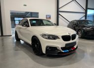 Bmw 220i F22 M-Performance met Garantie