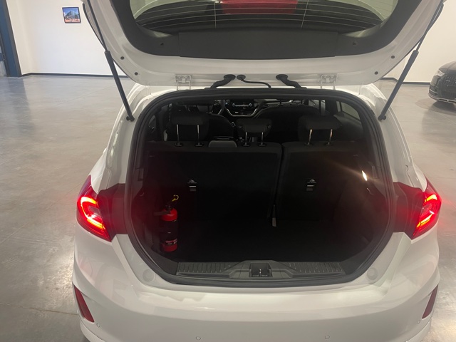Ford Fiesta ST-line 1.0 Ecoboost met Garantie