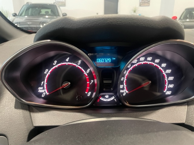 Ford Fiesta ST 1.6i EcoBoost met Garantie