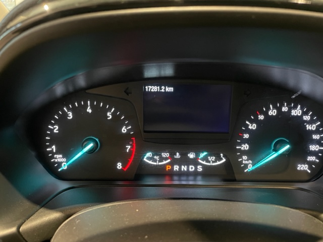 Ford Fiesta Active1.0 EcoBoost Automaat met Garantie