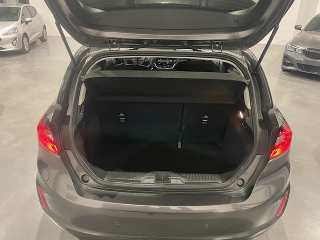 Ford FiestaTitanium 1.0Ecoboost t met Garantie