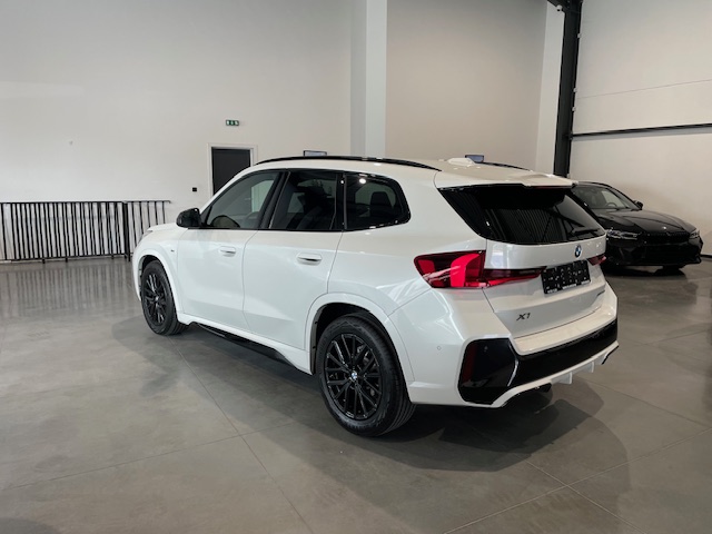 Bmw X1 sDrive18i M Pack met Garantie