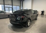 Tesla Model Y Standard Range met Garantie