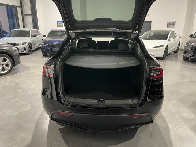 Tesla Model Y Standard Range met Garantie